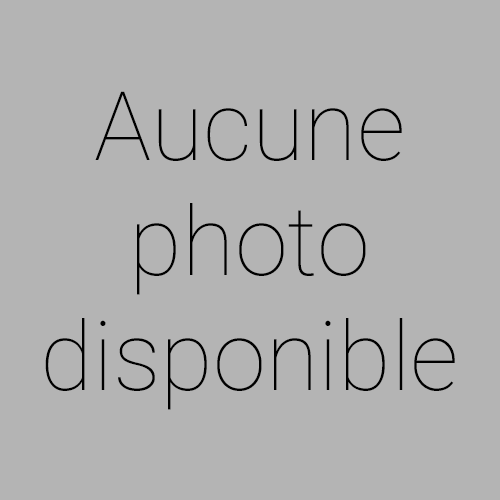 Renault CLIO - IV 0.9 TCE 75 LIMITED GARANTIE 6 MOIS
